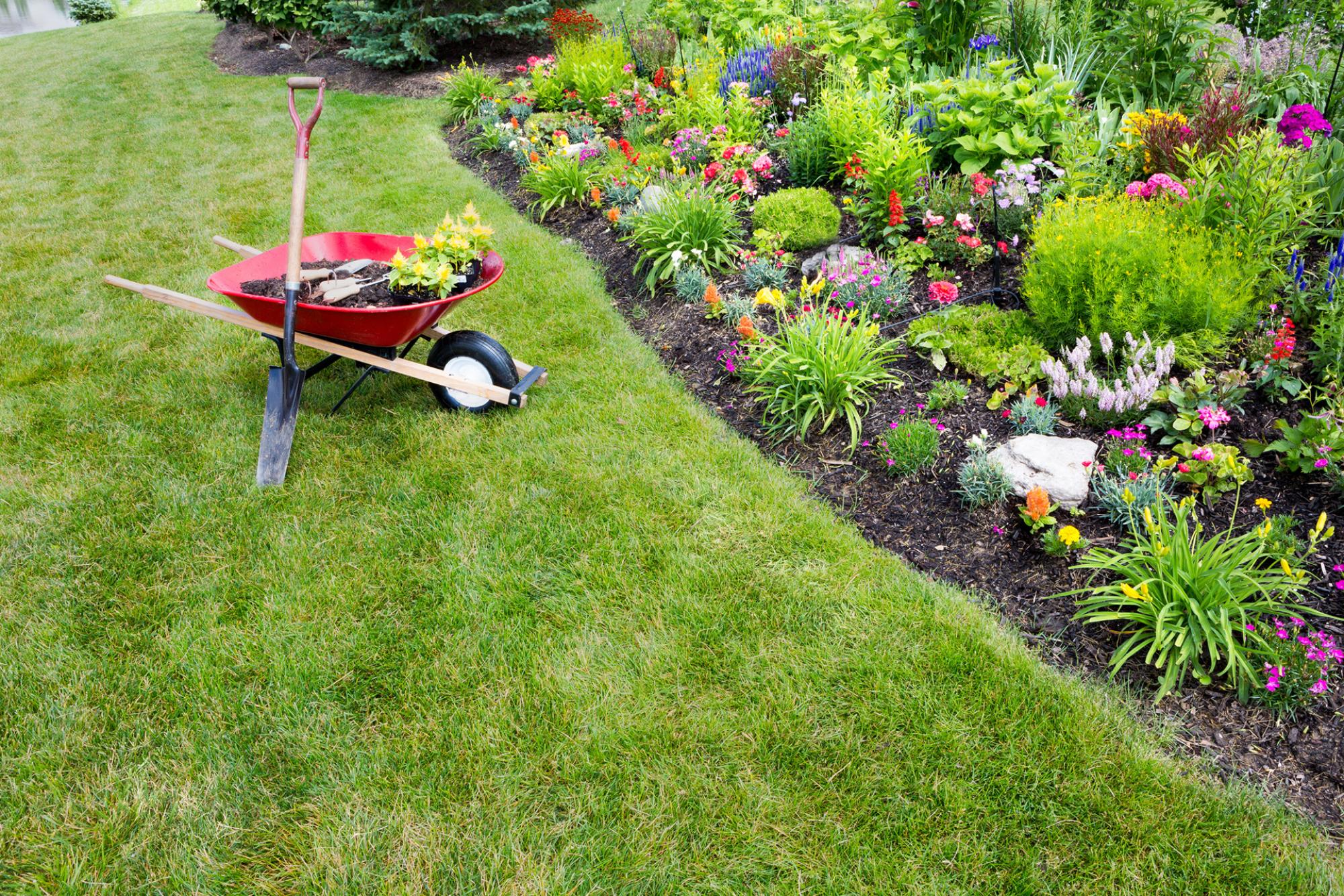 Expertise locale espaces verts