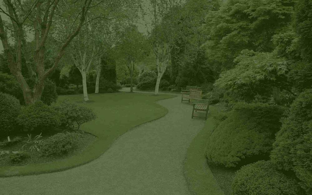 Élagage expert dans le Gard